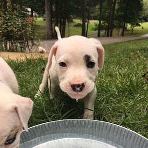 Meet your Posher, Kayleen